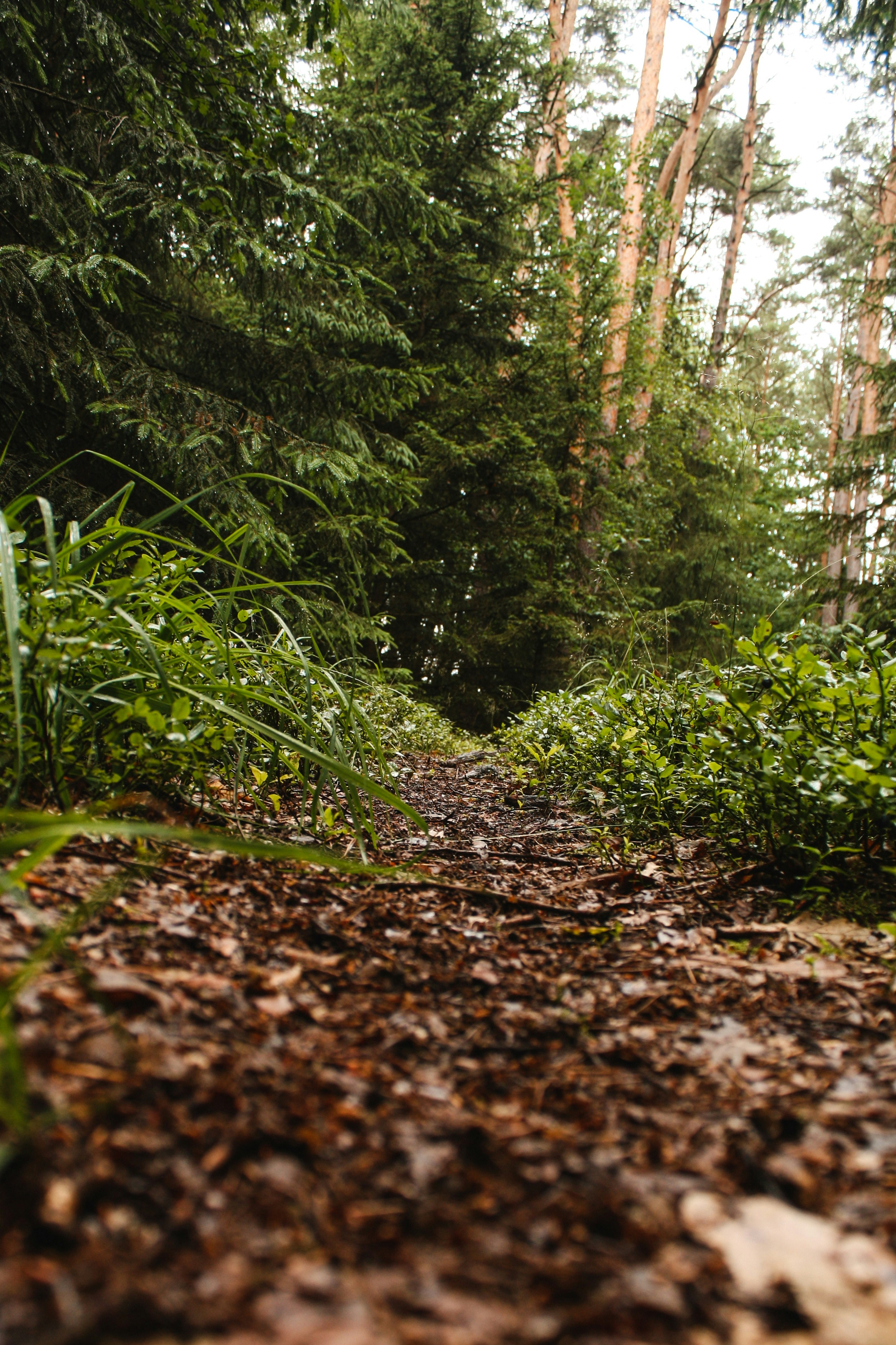 Photo by nickberger_nb