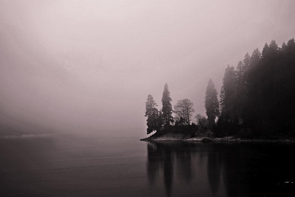 grayscale photo of trees near body of water