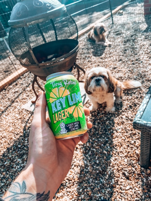 A can of Tiny Rebel Key Lime Lager is held in a tattooed hand over a gravel-covered yard. Two dogs are visible in the background near a metal fire pit.