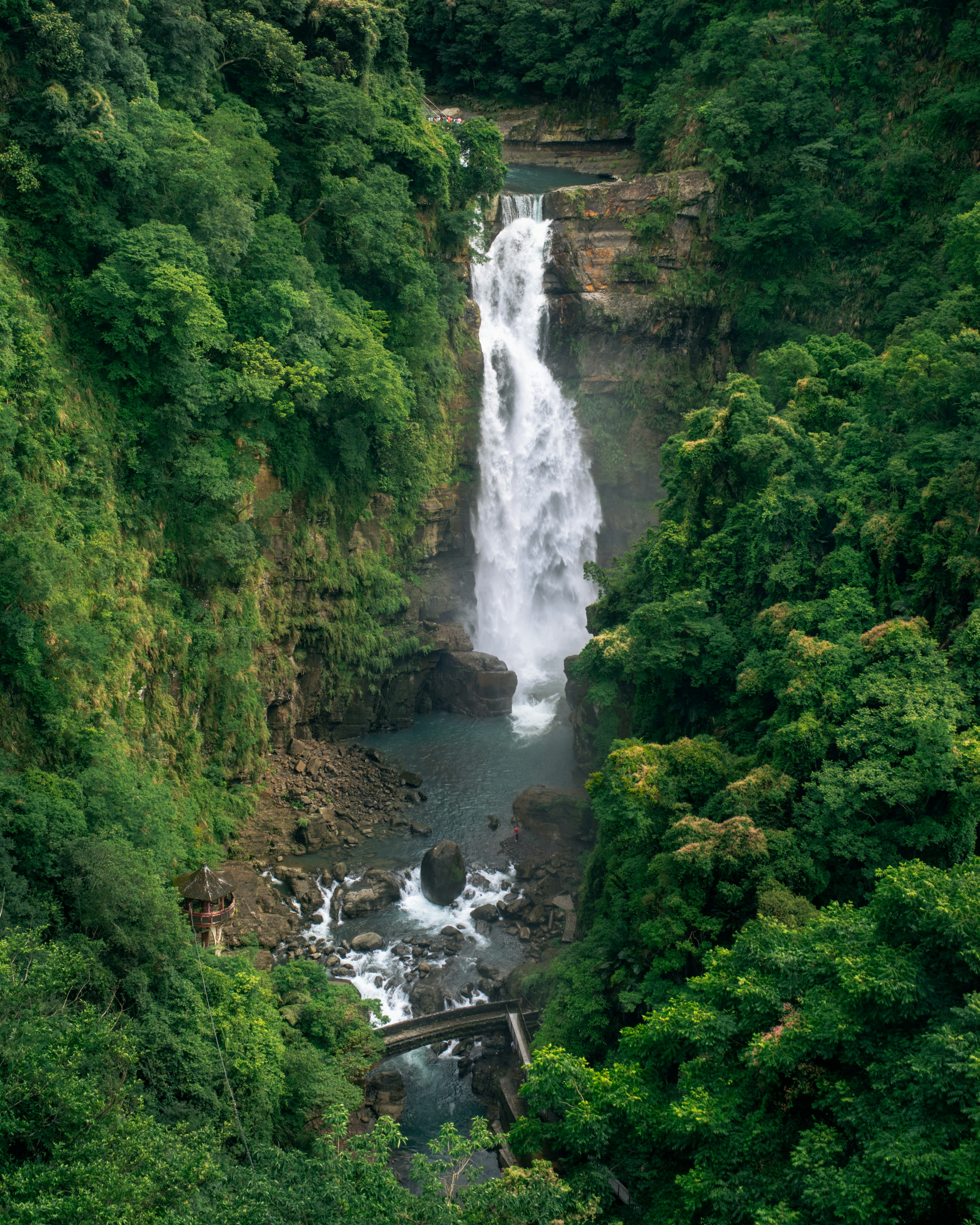 waterfalls in the middle of green trees