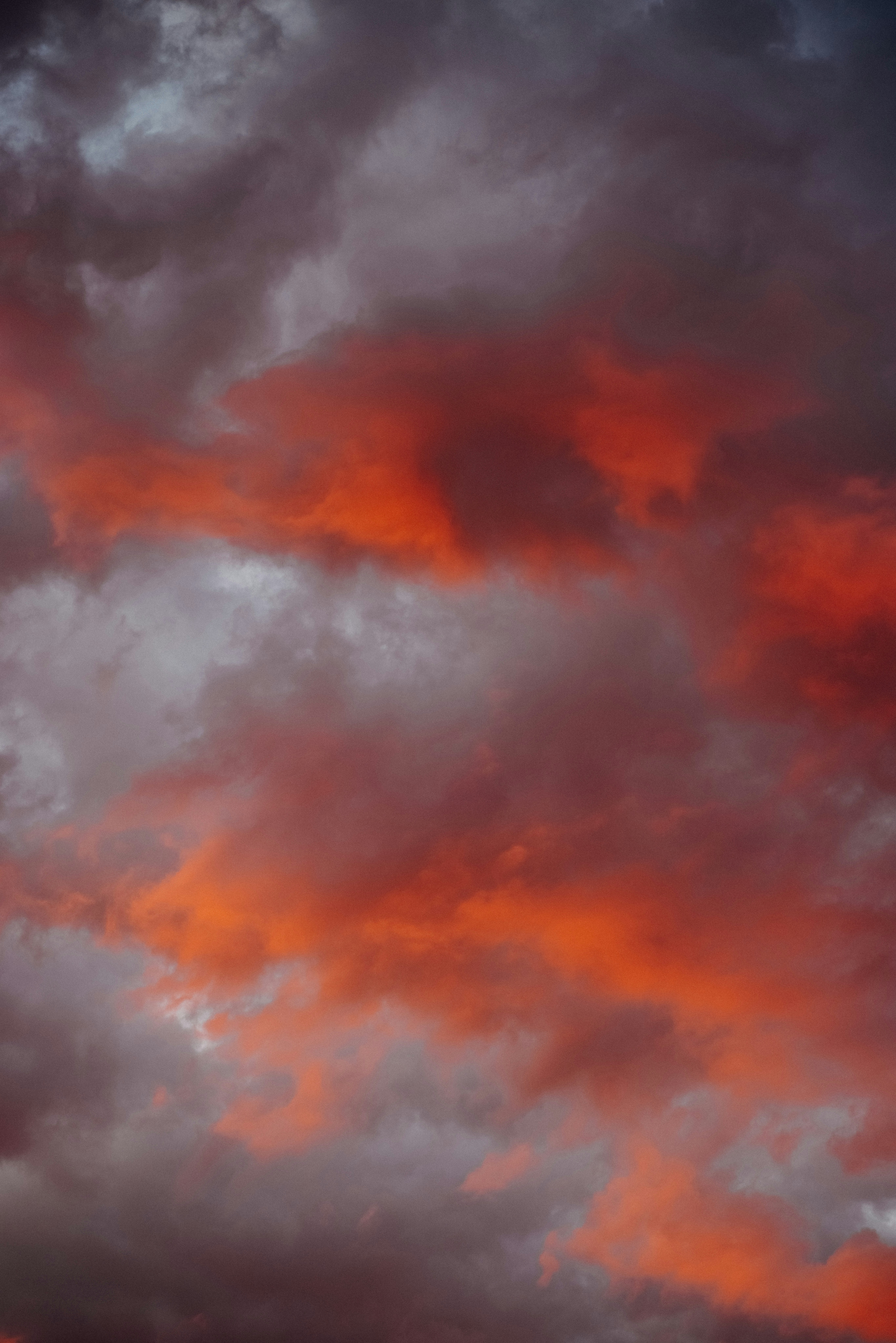 Photo by patresinger