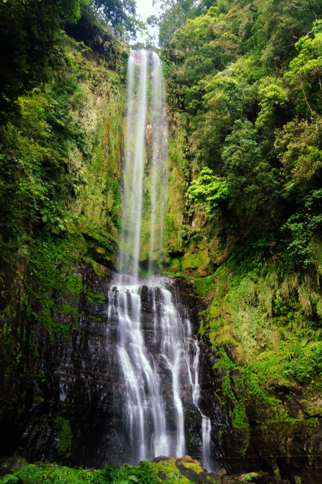 waterfalls in the middle of green trees