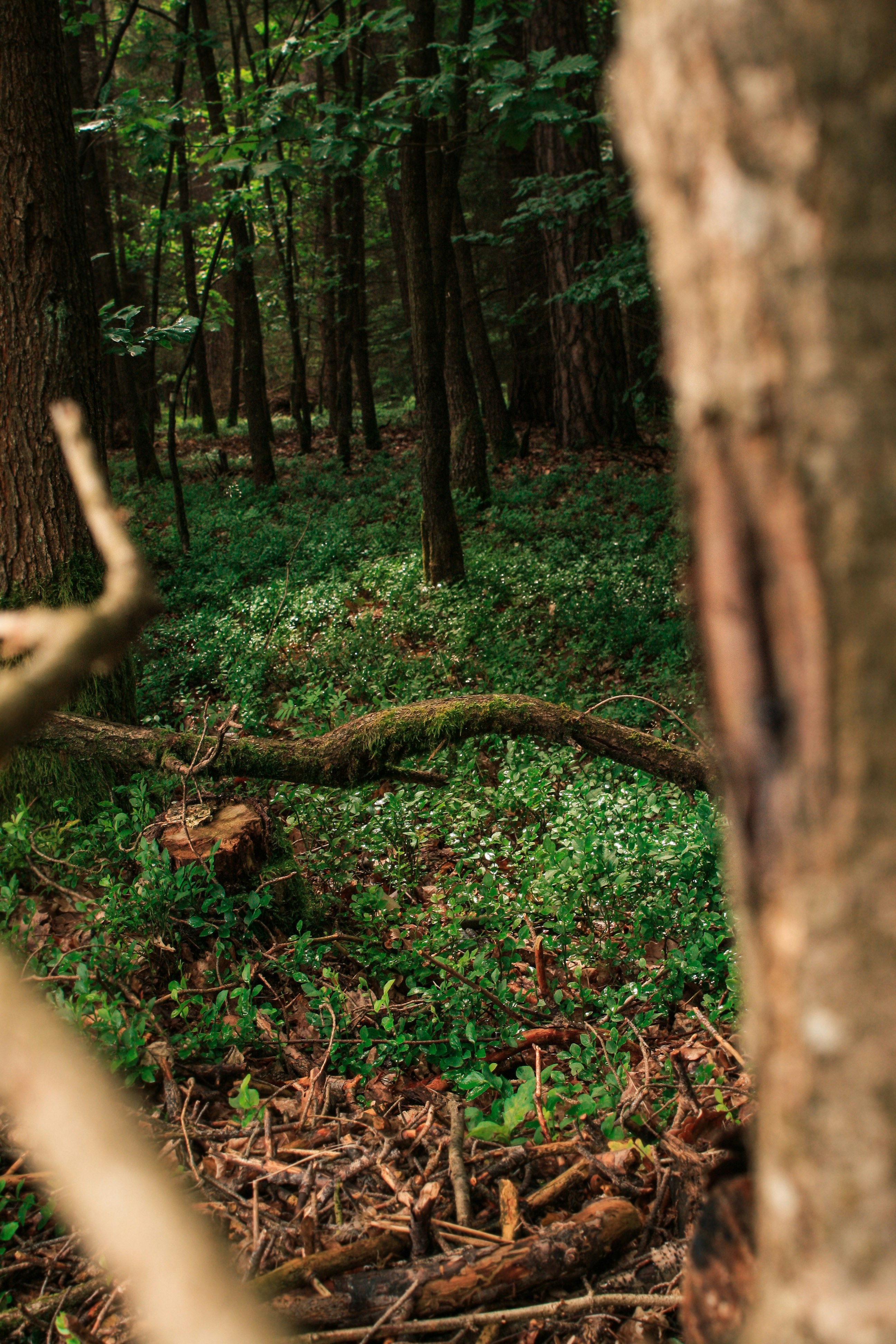 Photo by nickberger_nb