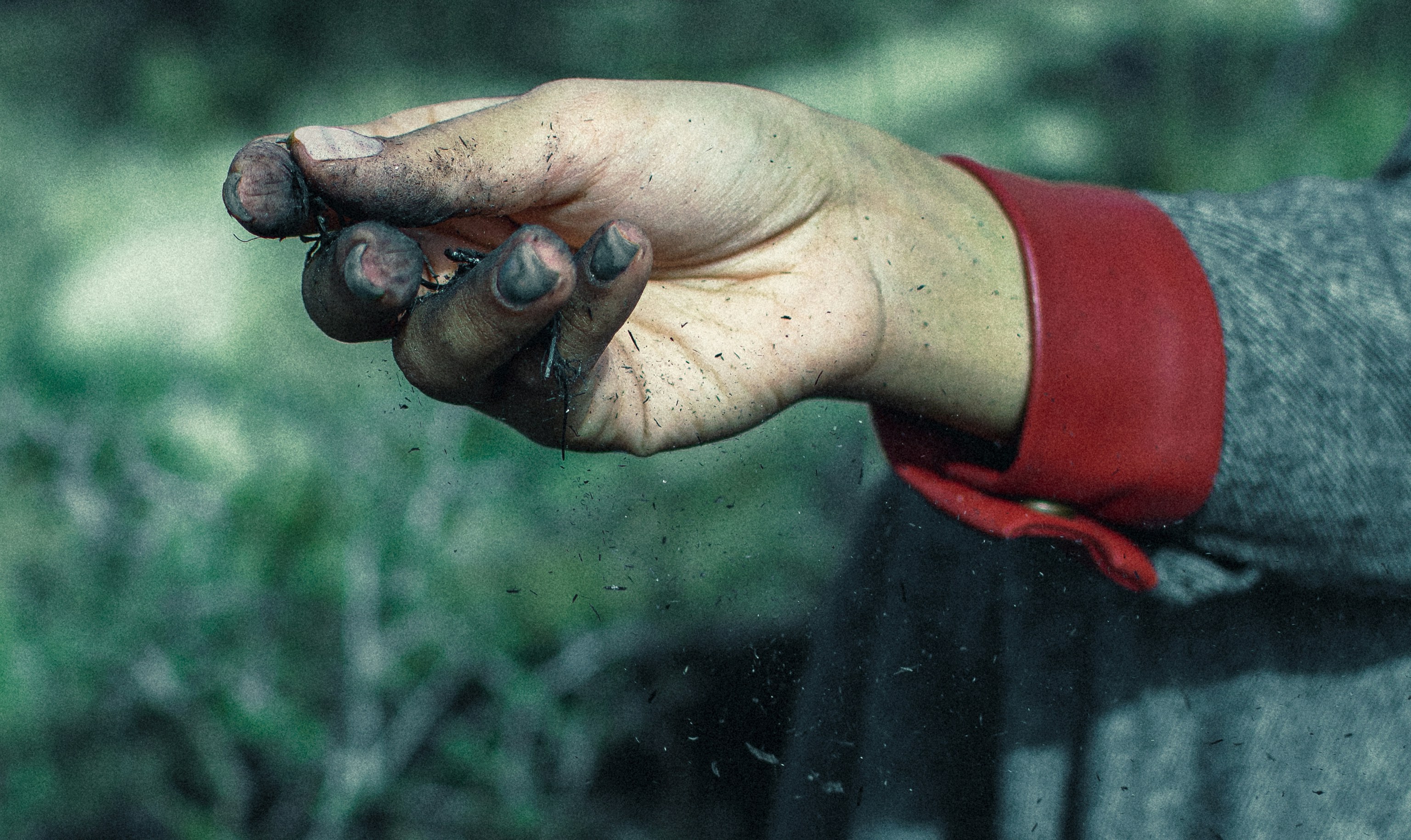 Photo by hamidtajikph