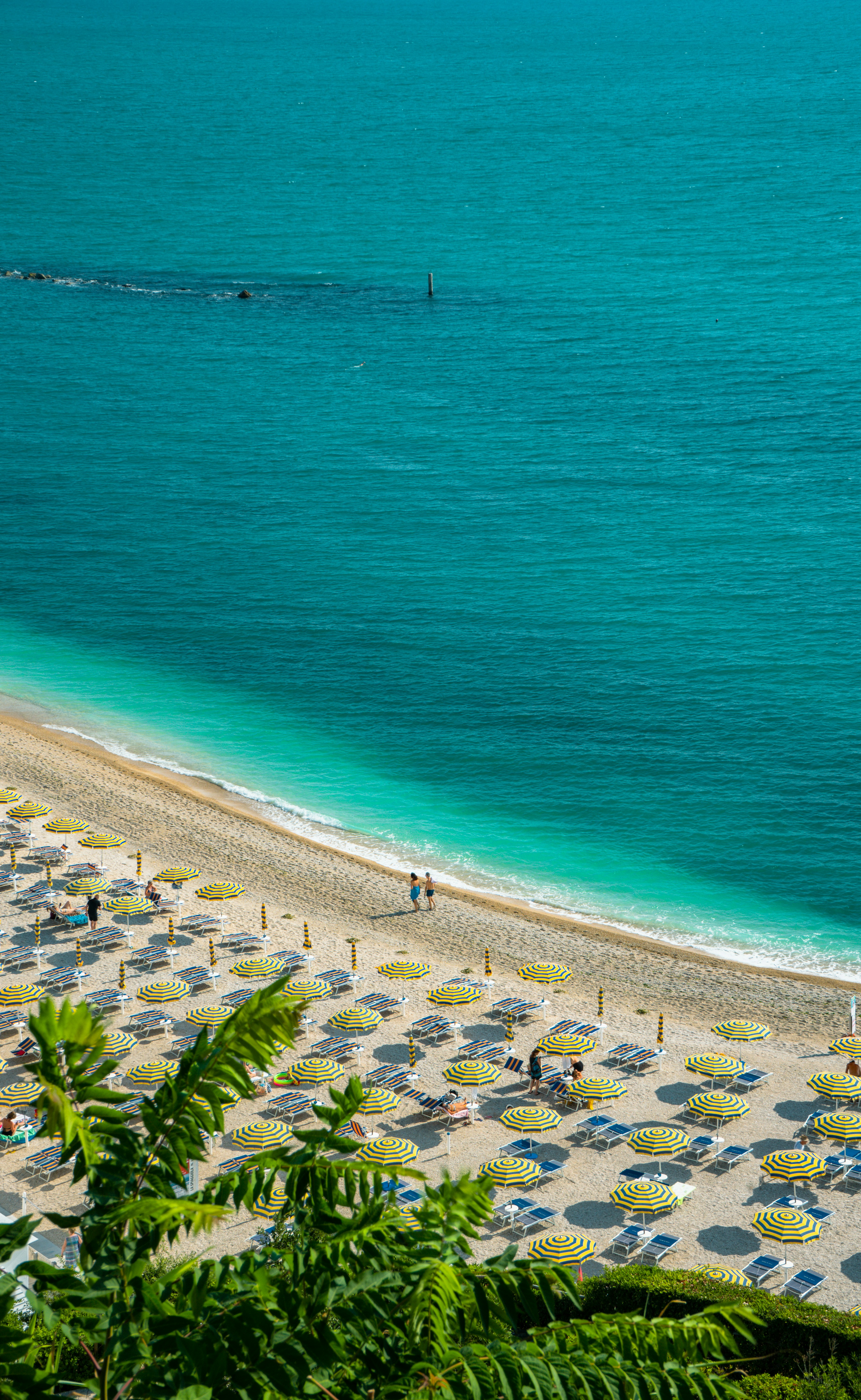 Photo by giovanni1304