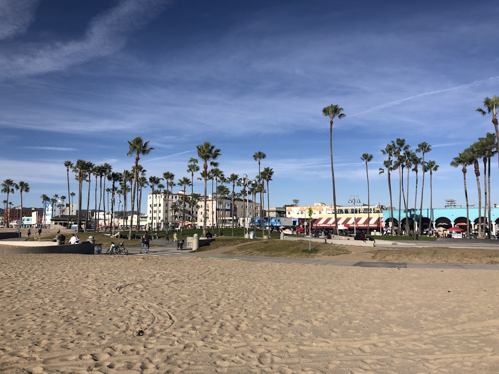 people on beach during daytime