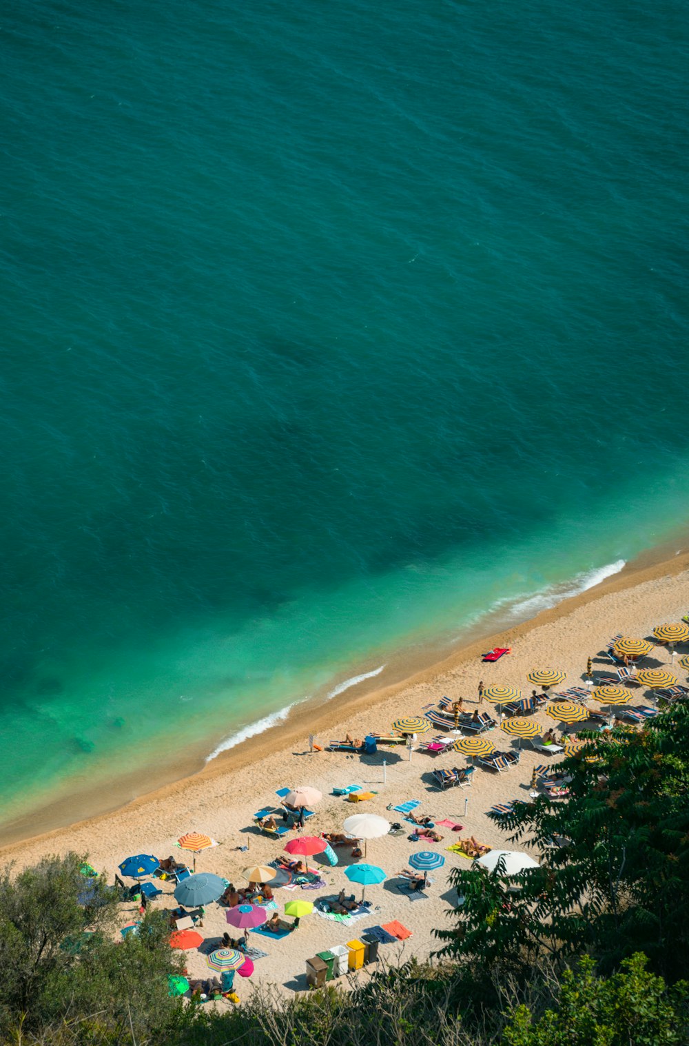 people on beach during daytime