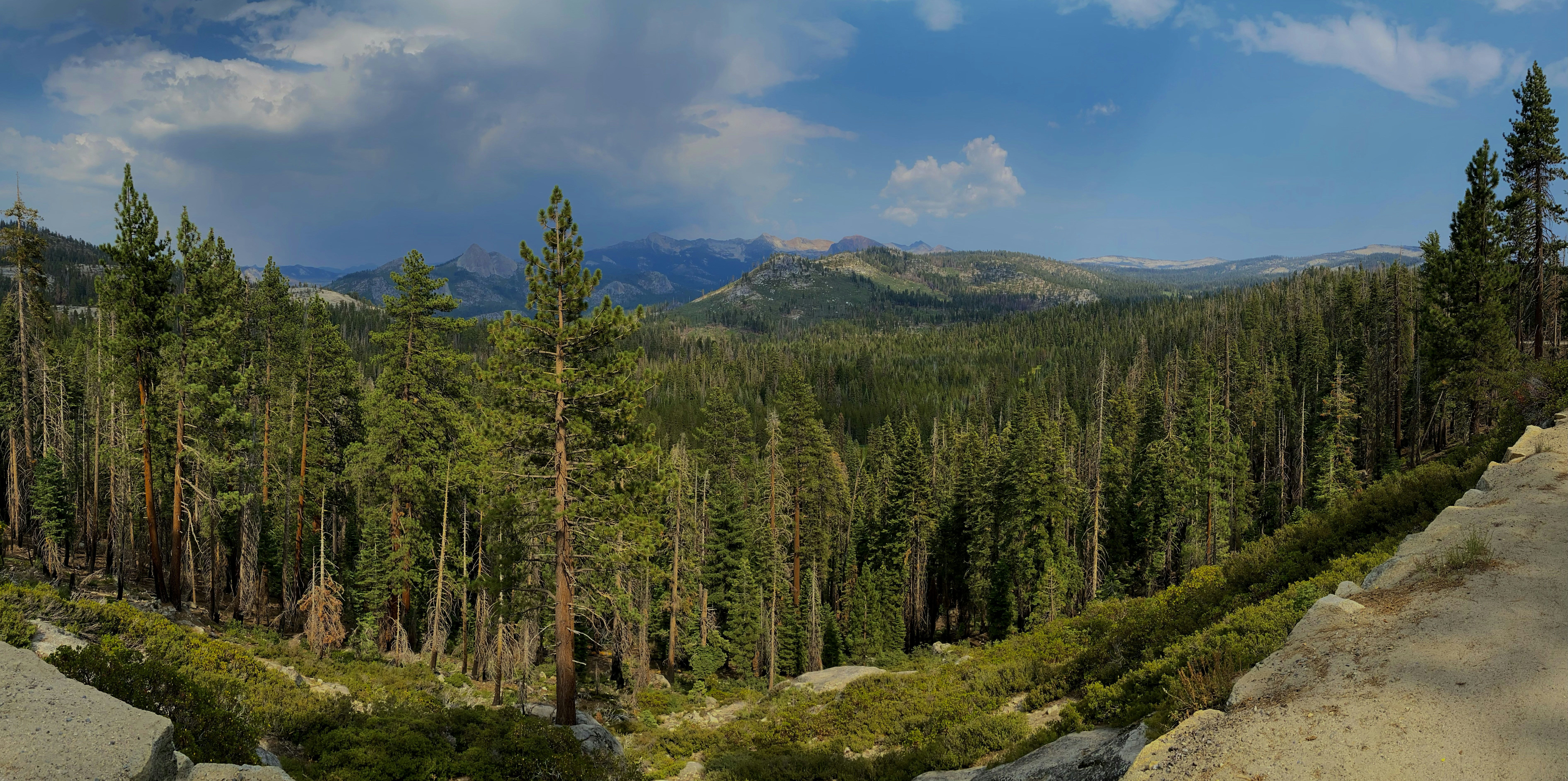 Photo by adamhaxter123