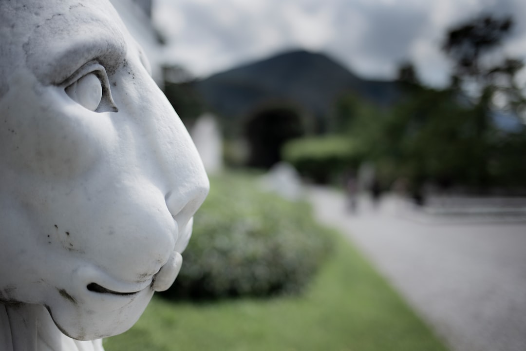 white animal head statue during daytime