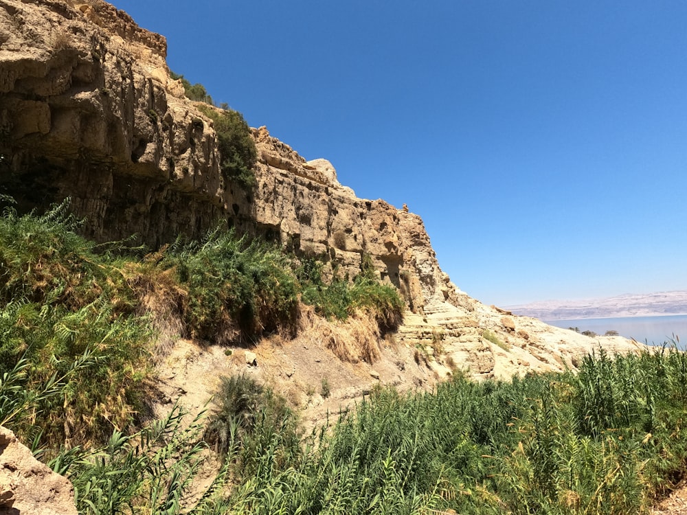 Montaña rocosa marrón cerca del campo de hierba verde bajo el cielo azul durante el día