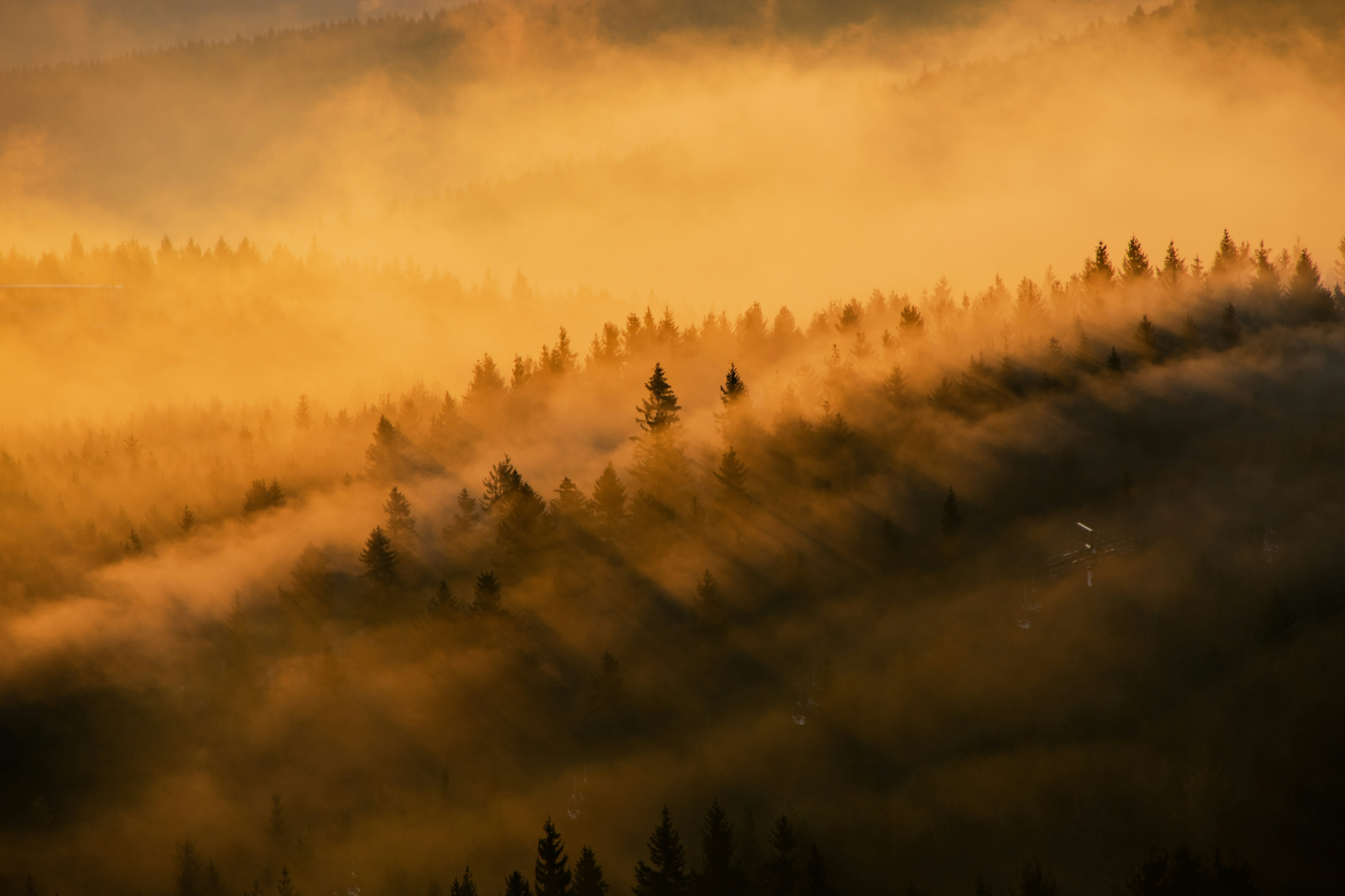 Photo by lukaskonvica