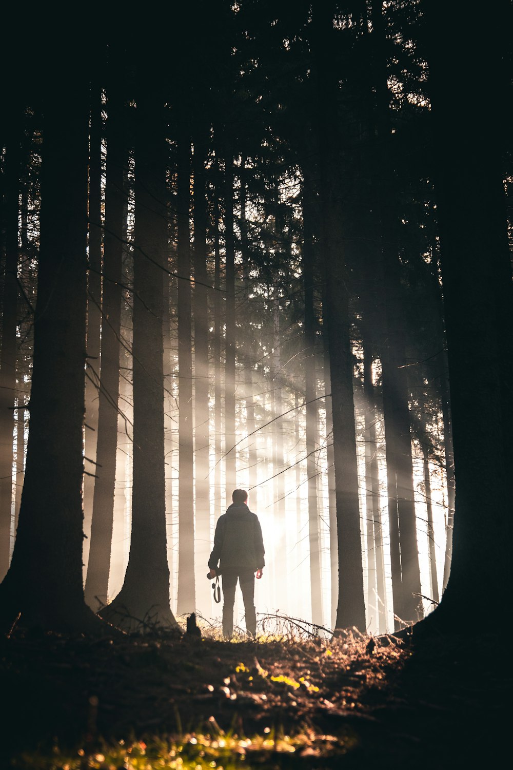 man in black jacket standing in forest