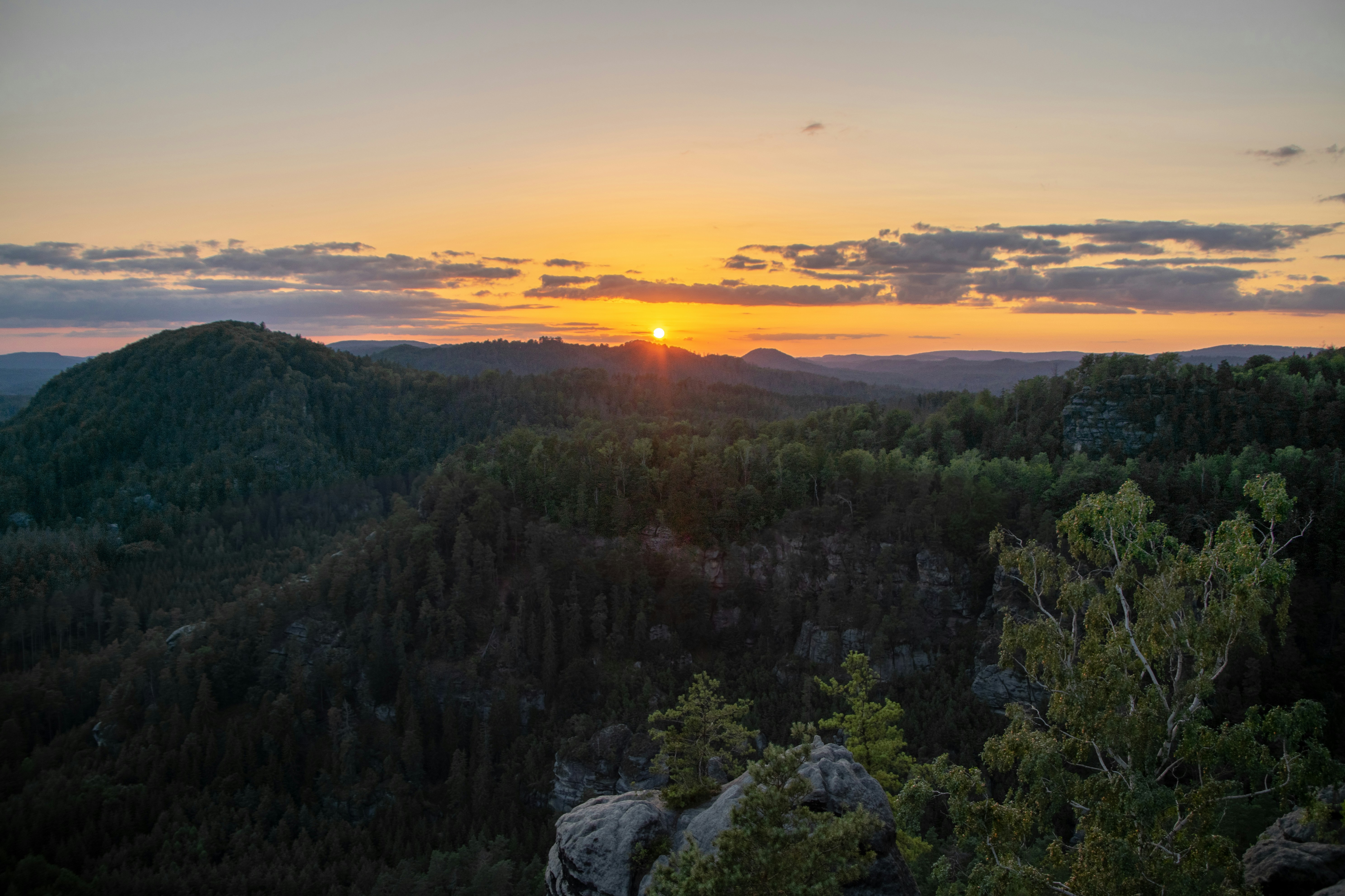 green trees on mountain during sunset