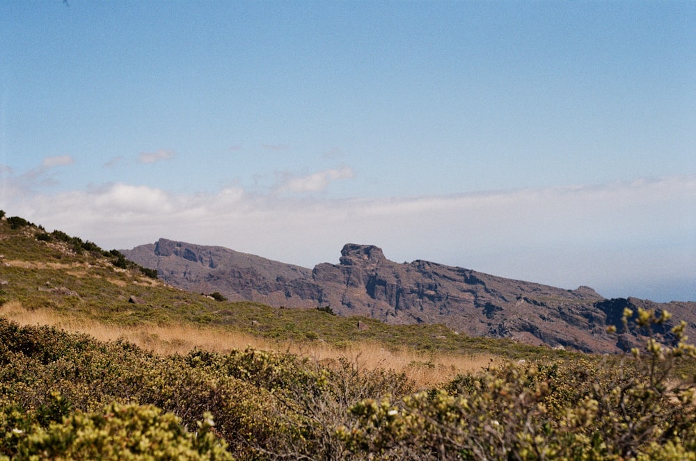 green grass field near brown mountain under blue sky during daytime