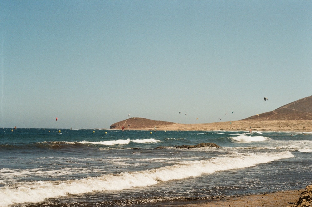 people on beach during daytime