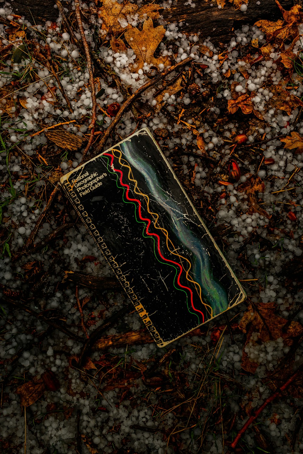 black and red book on brown leaves