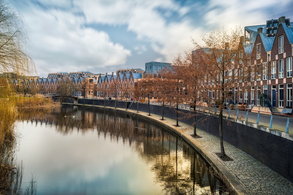 brown bare trees beside river under blue sky during daytime