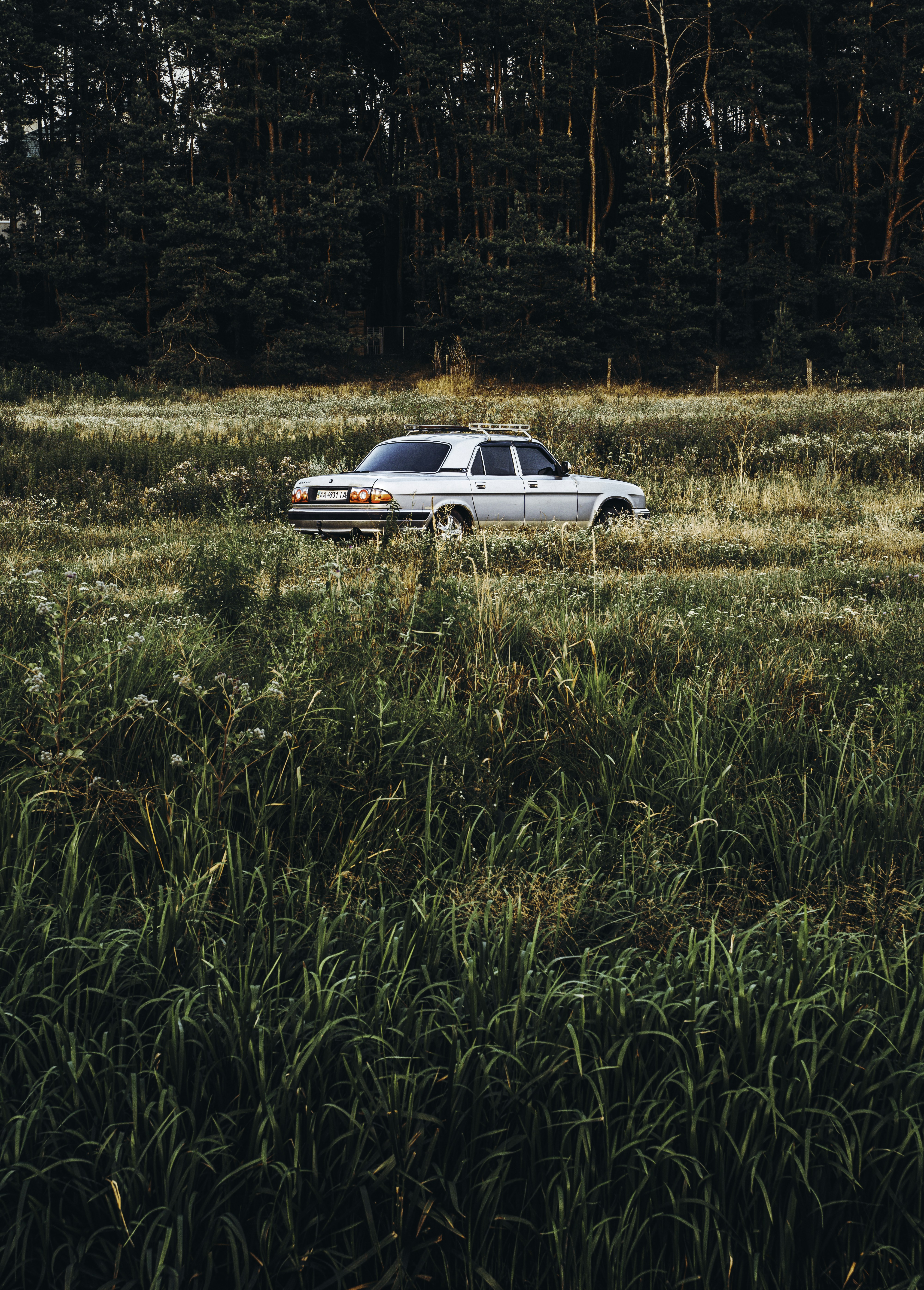 Photo by maksym_tymchyk