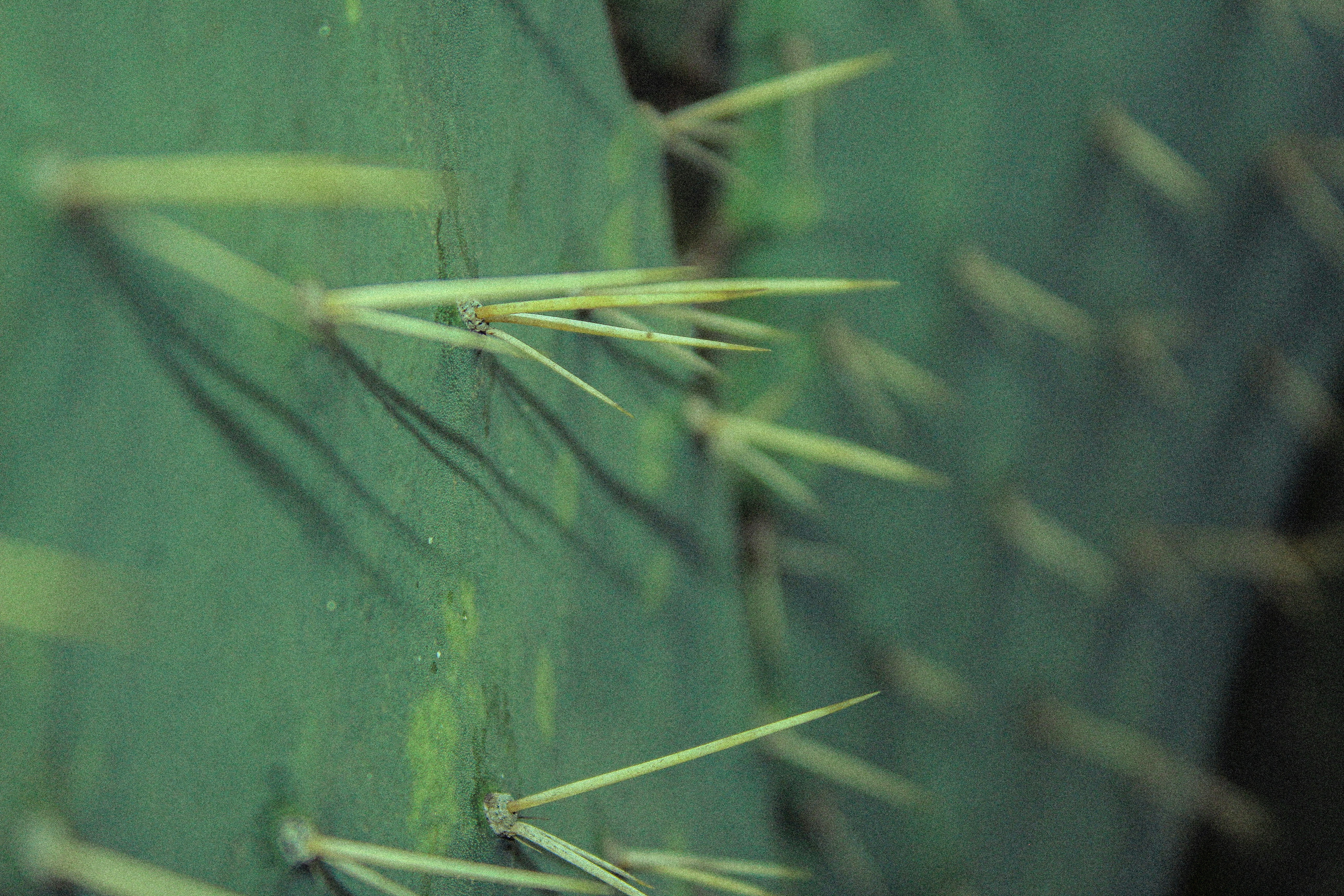 Photo by _acuarelaaa