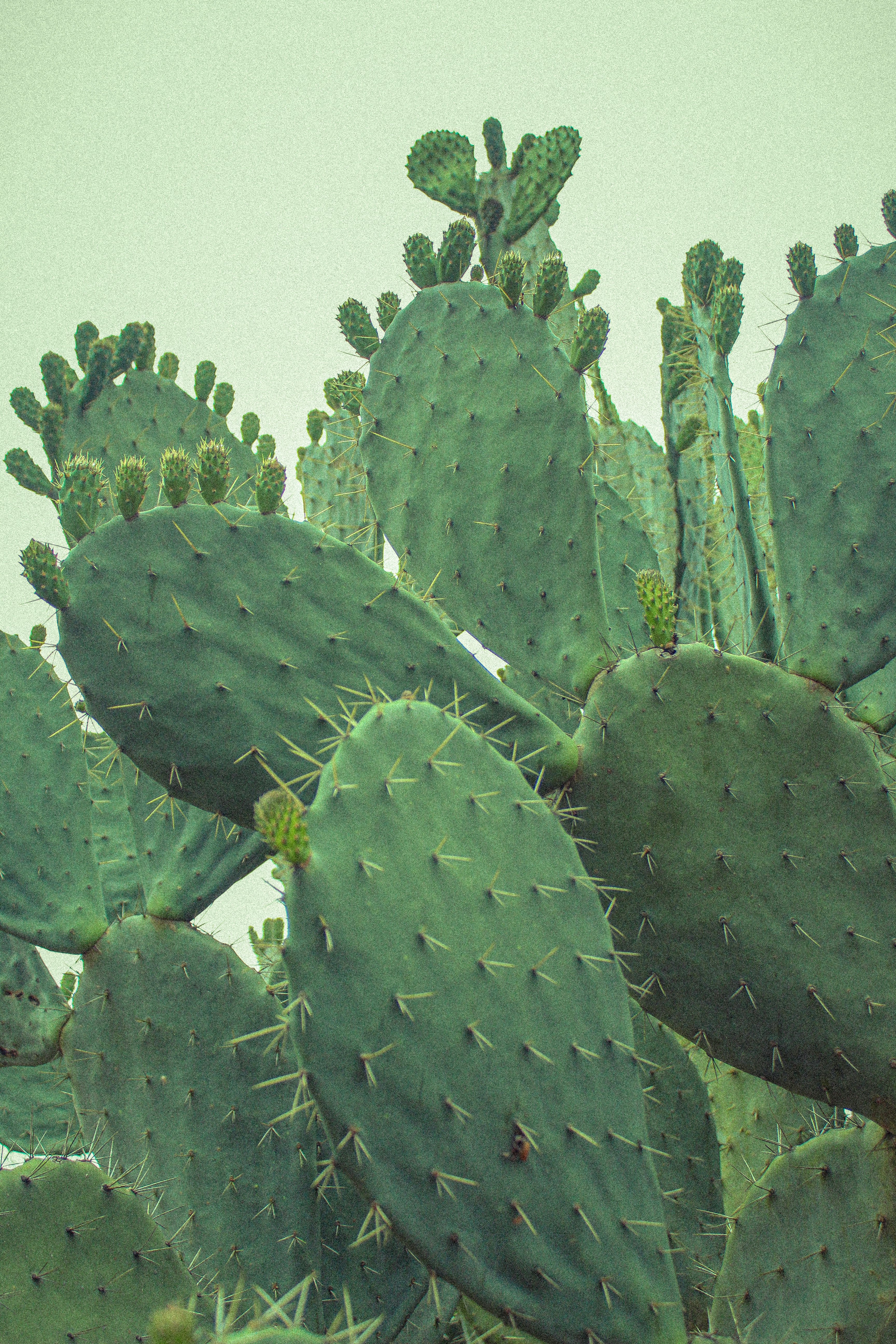 Photo by _acuarelaaa