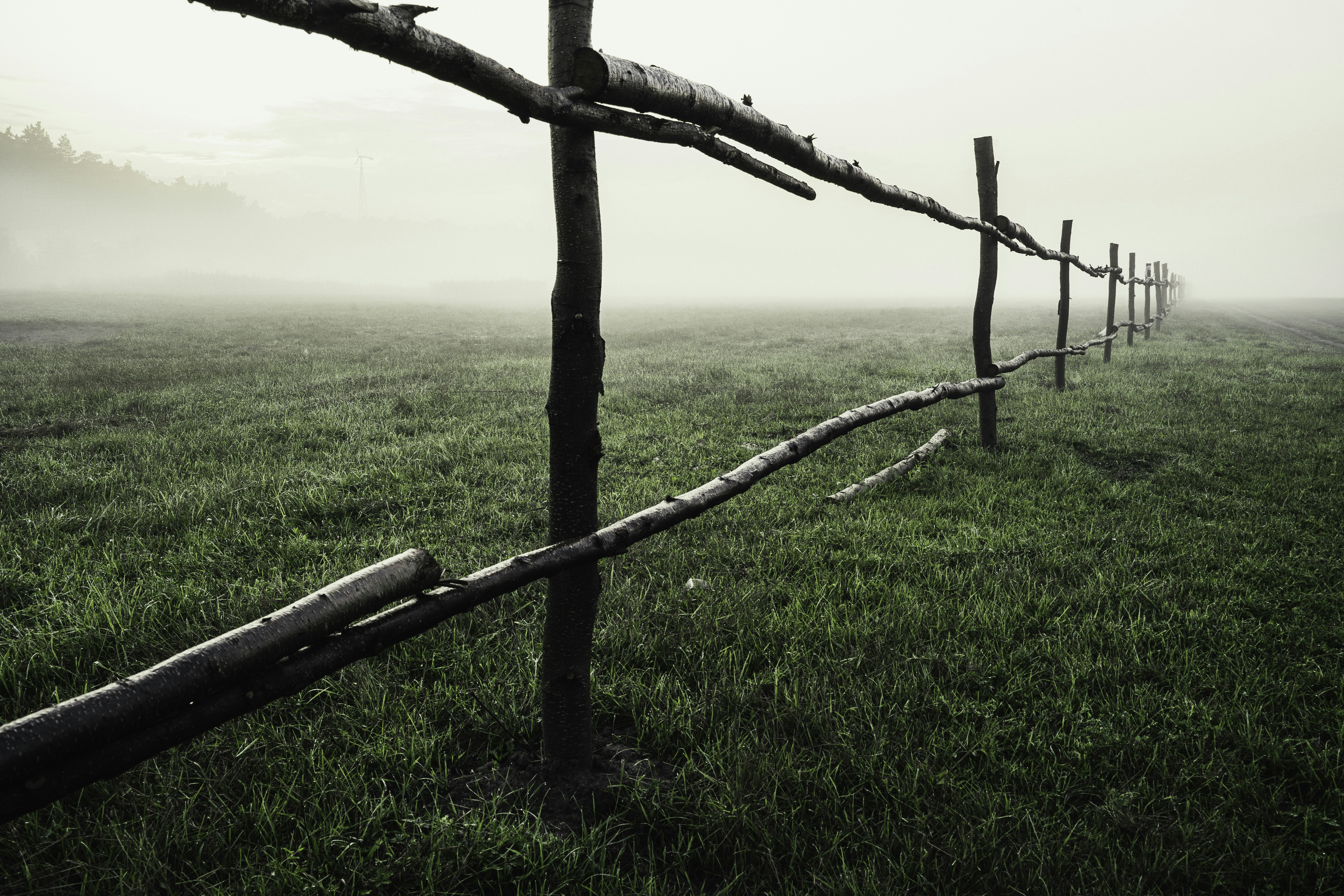 Photo by maksym_tymchyk