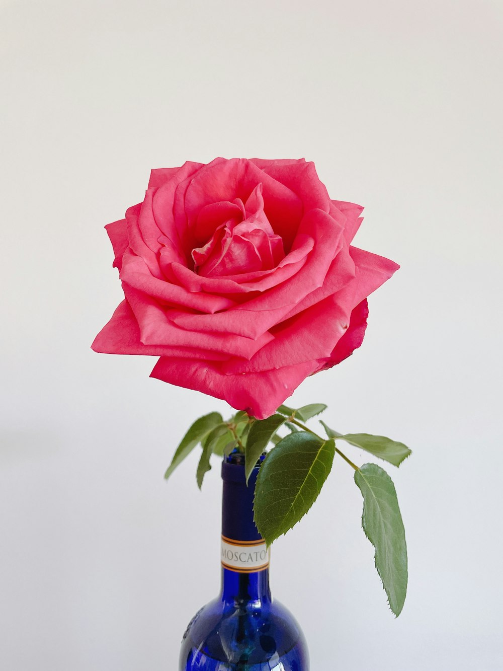 red rose in brown glass bottle