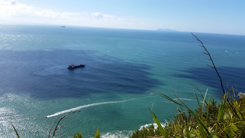 A large freight ship is sailing on a vast expanse of ocean under a clear blue sky. In the foreground, there are pieces of grass and plants, and in the distance, a landmass is visible on the horizon. Small waves can be seen on the water's surface.
