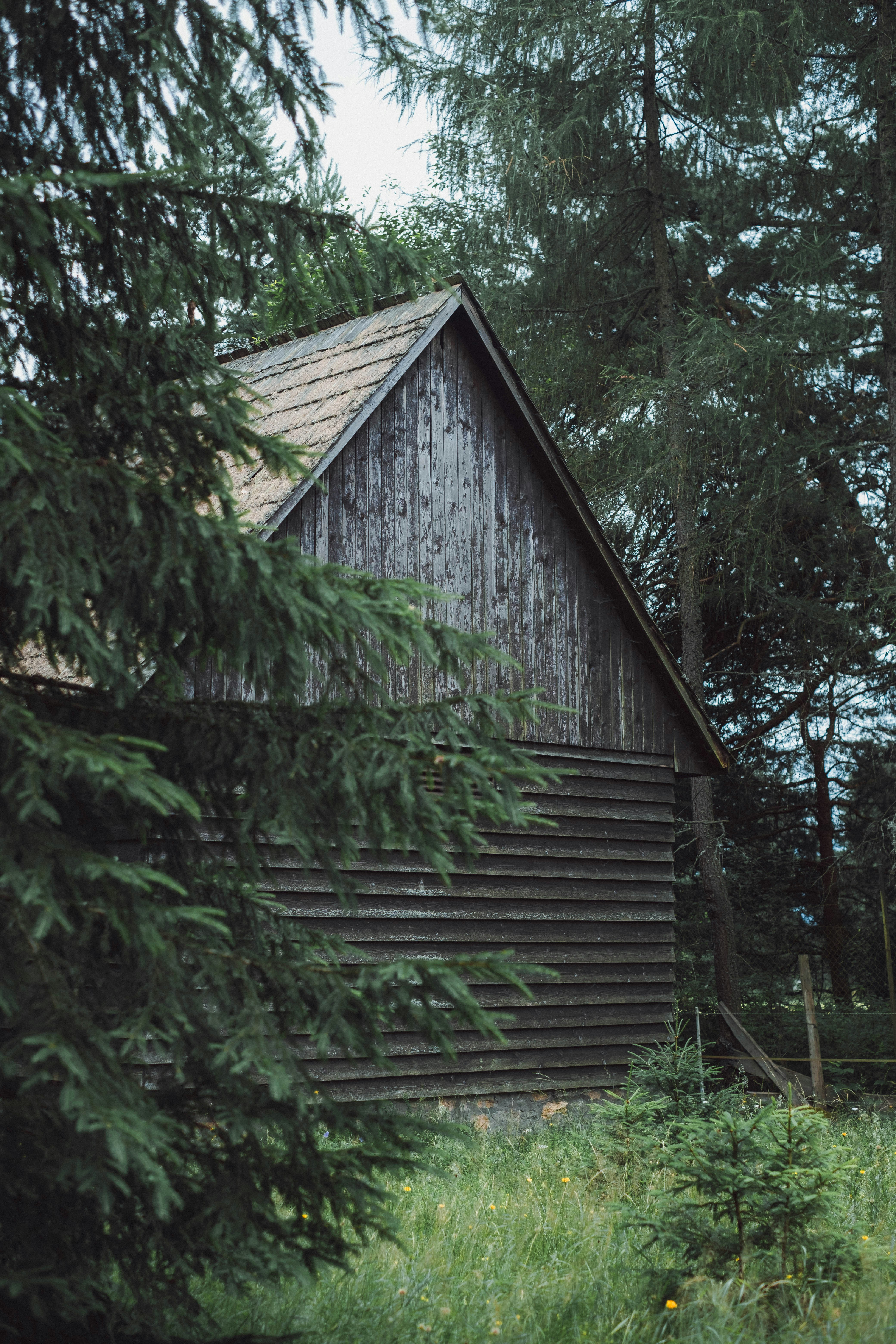 Brown wooden house near green trees during daytime photo – Free House ...
