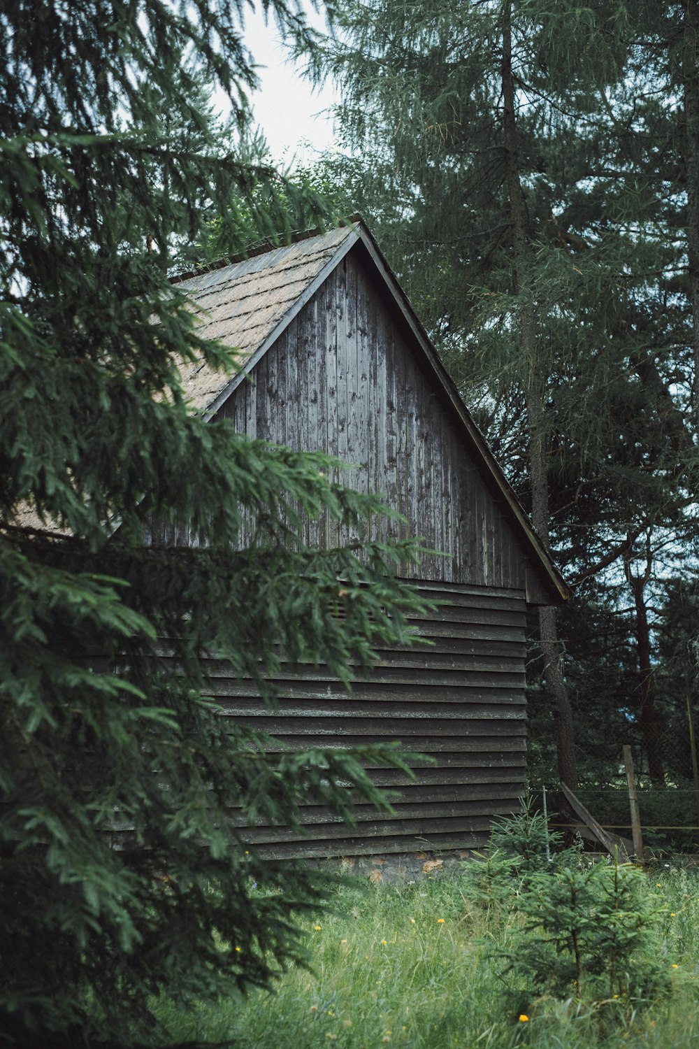 brown wooden house near green trees during daytime