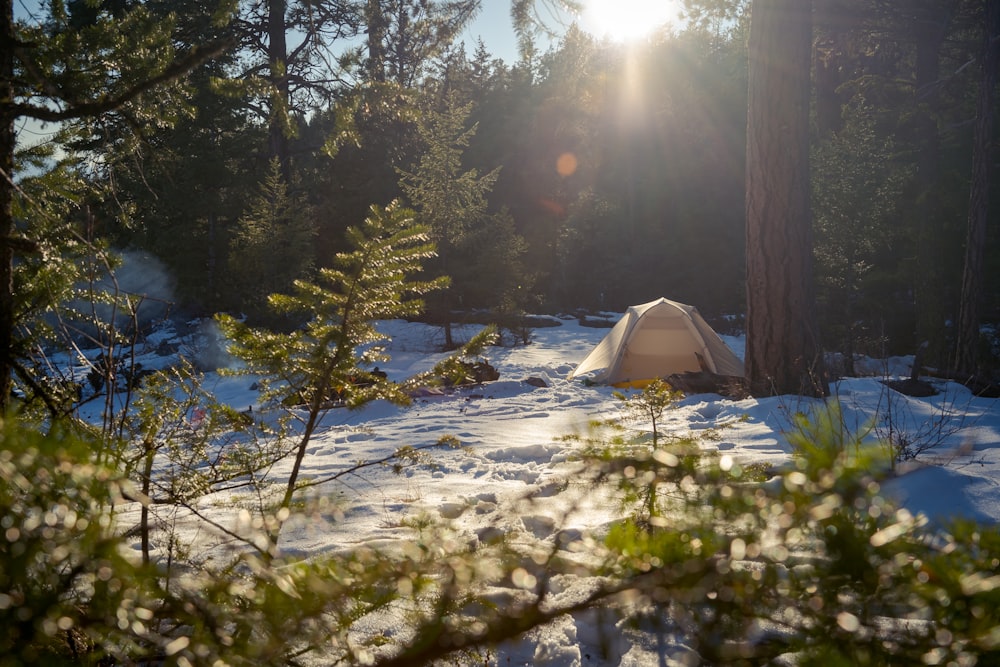 white tent on snow covered ground during daytime