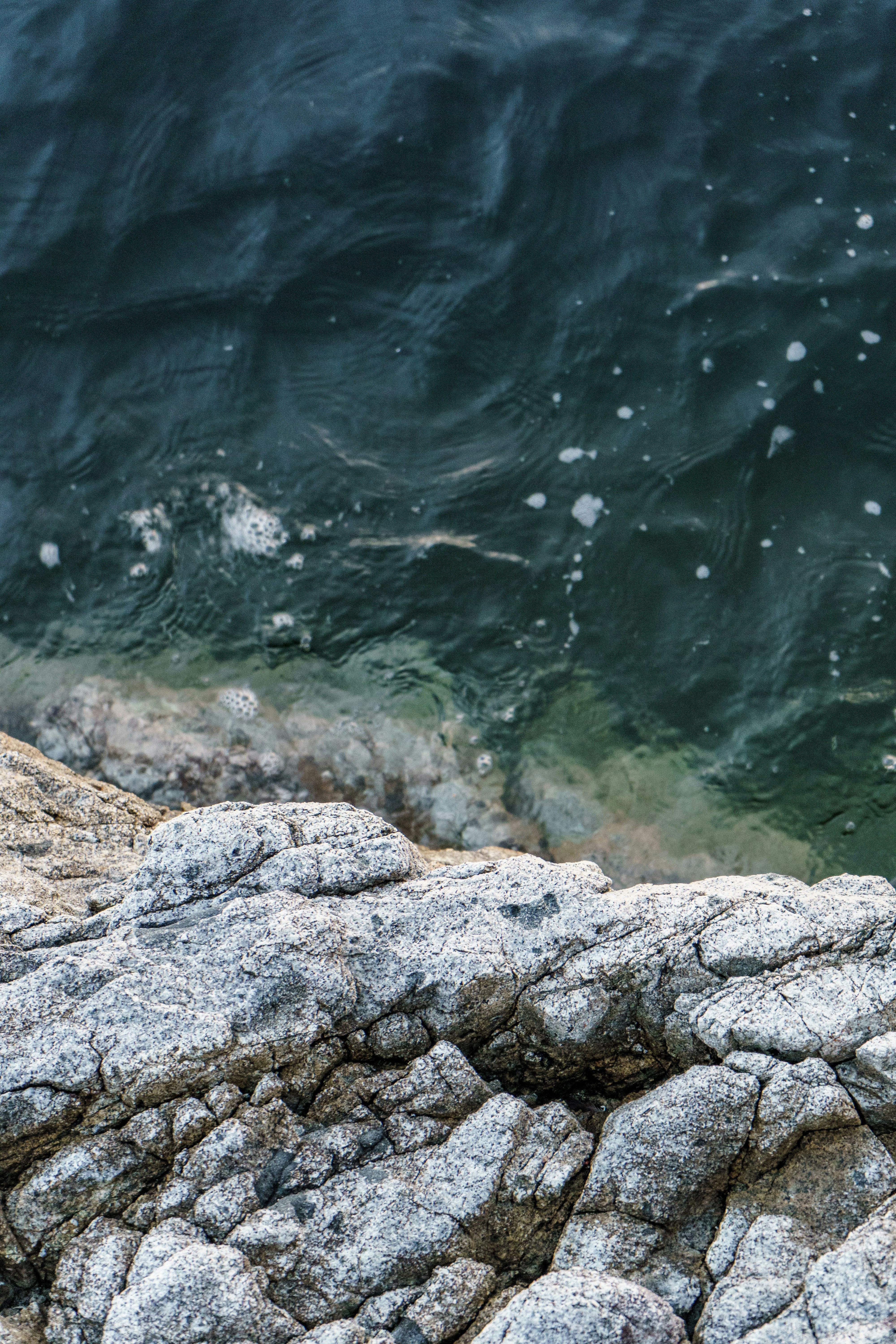 Photo by folkandwild