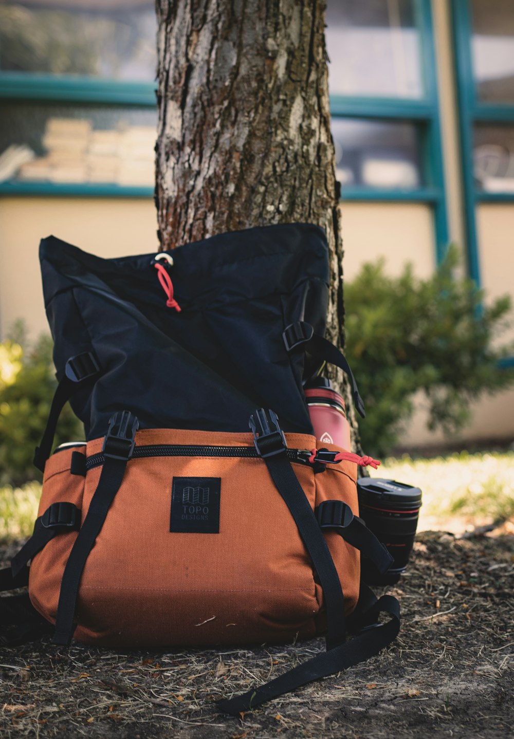 schwarz-oranger Lederrucksack am Baumstamm