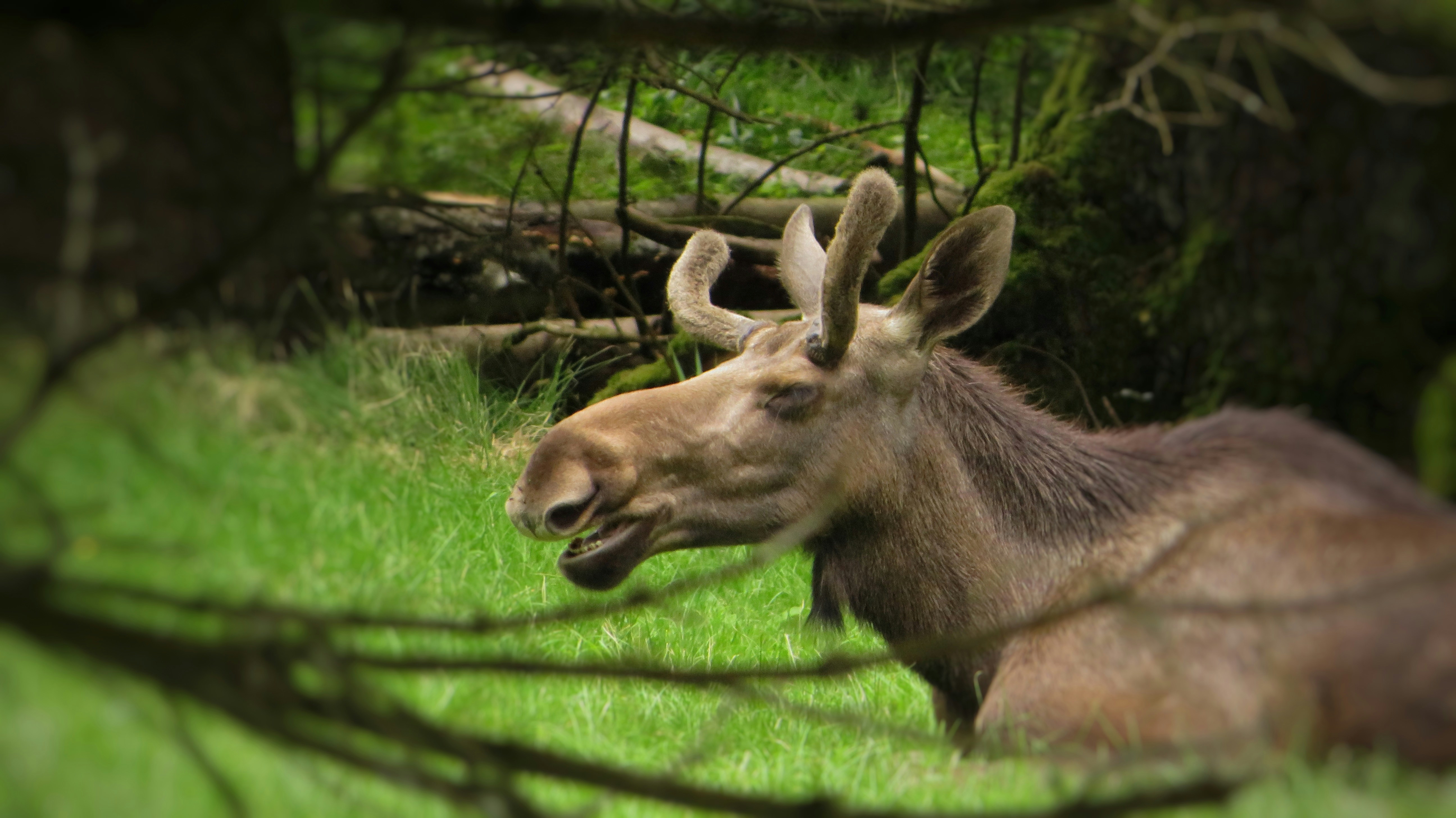 Photo by augustinfoto