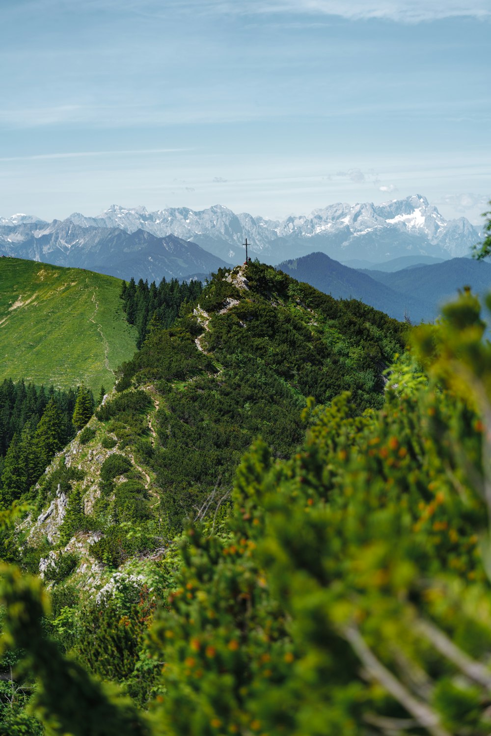 green trees on mountain during daytime