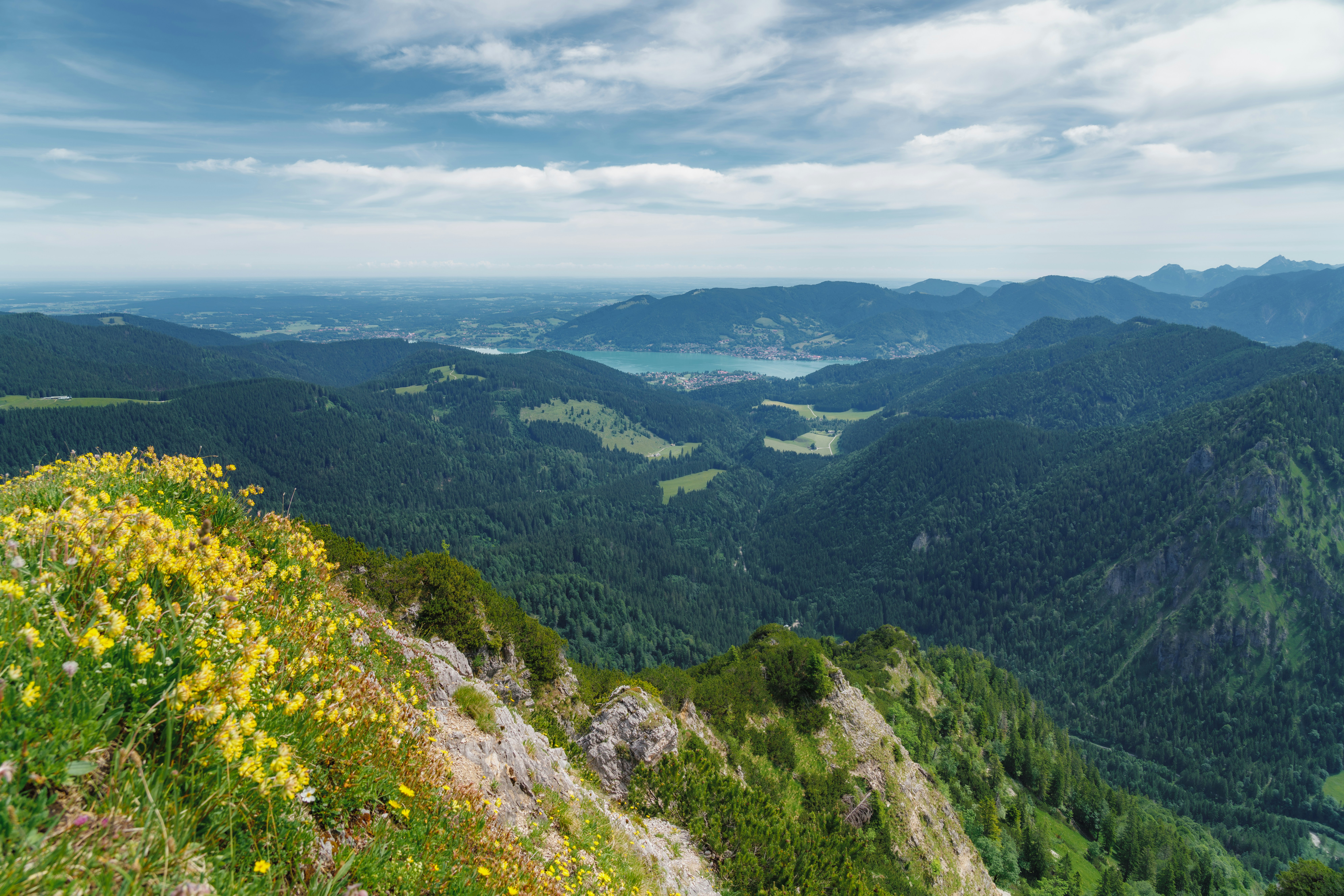 Photo by danielsessler