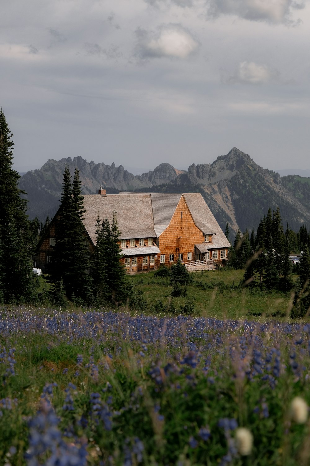 brown and white house near green trees and mountain during daytime