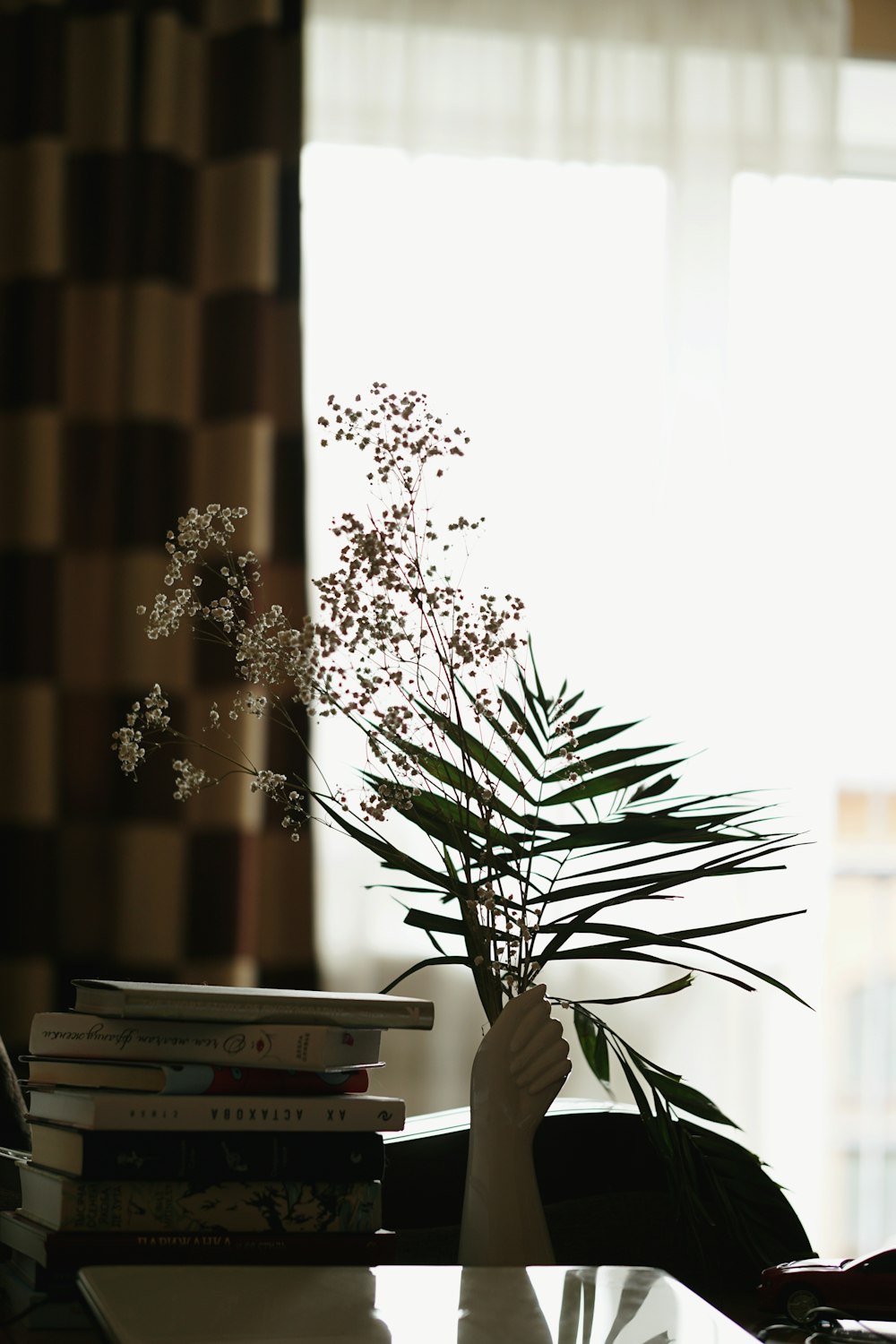 plante verte à côté d’un rideau brun et blanc