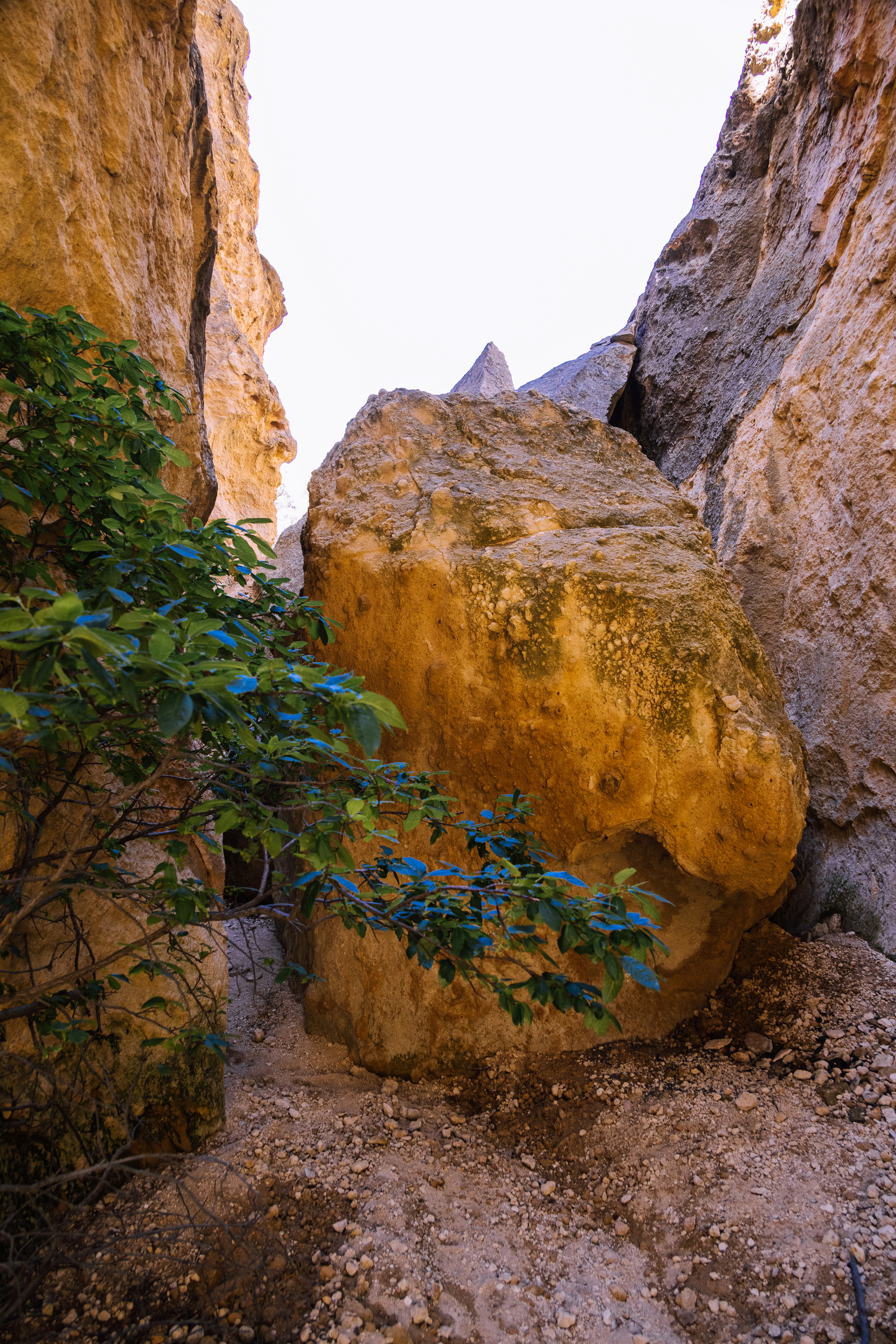 brown rock formation with green plants during daytime