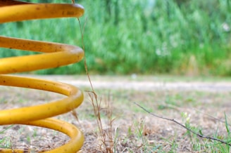 Before-and-after comparison of a spring restoration site.