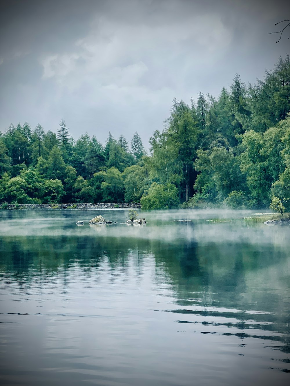 green trees beside body of water under cloudy sky during daytime