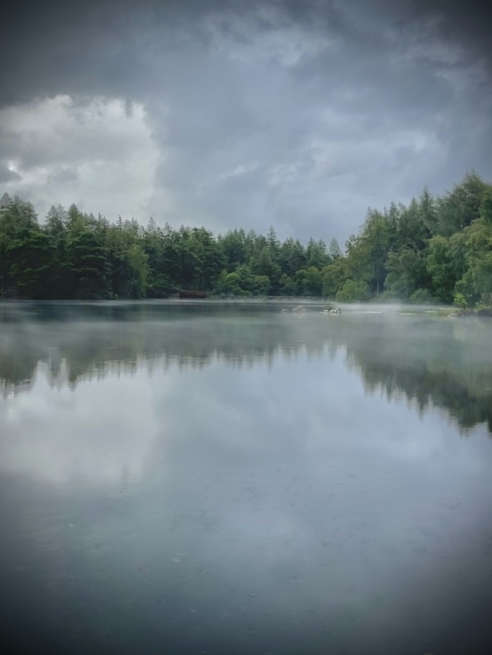 green trees beside river under white clouds during daytime