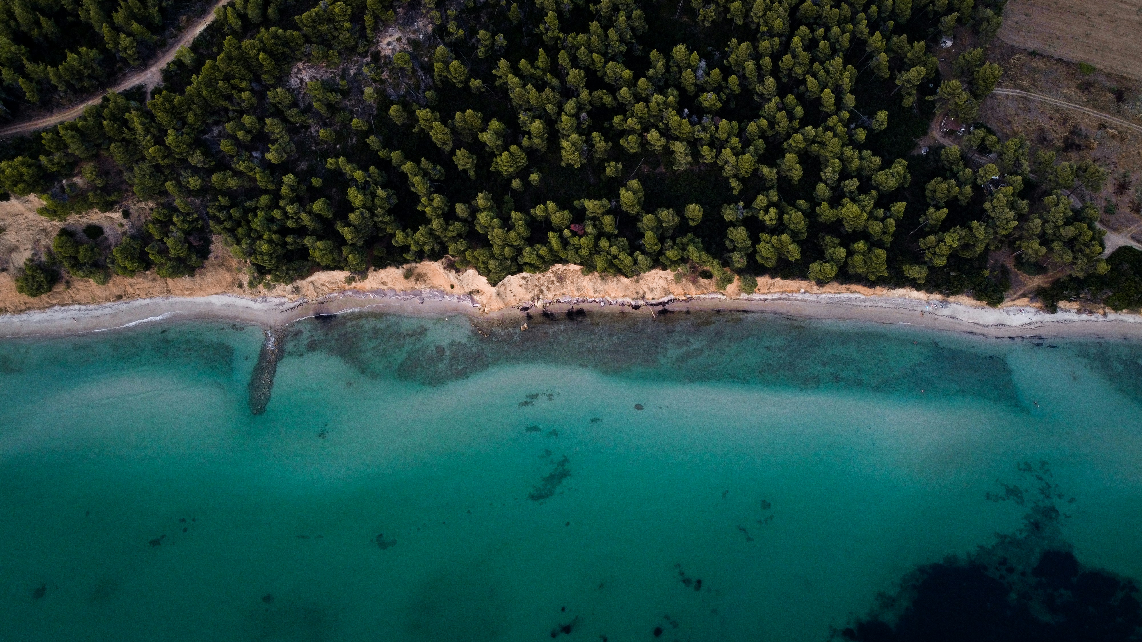 green trees beside body of water during daytime, Beaches look different from above