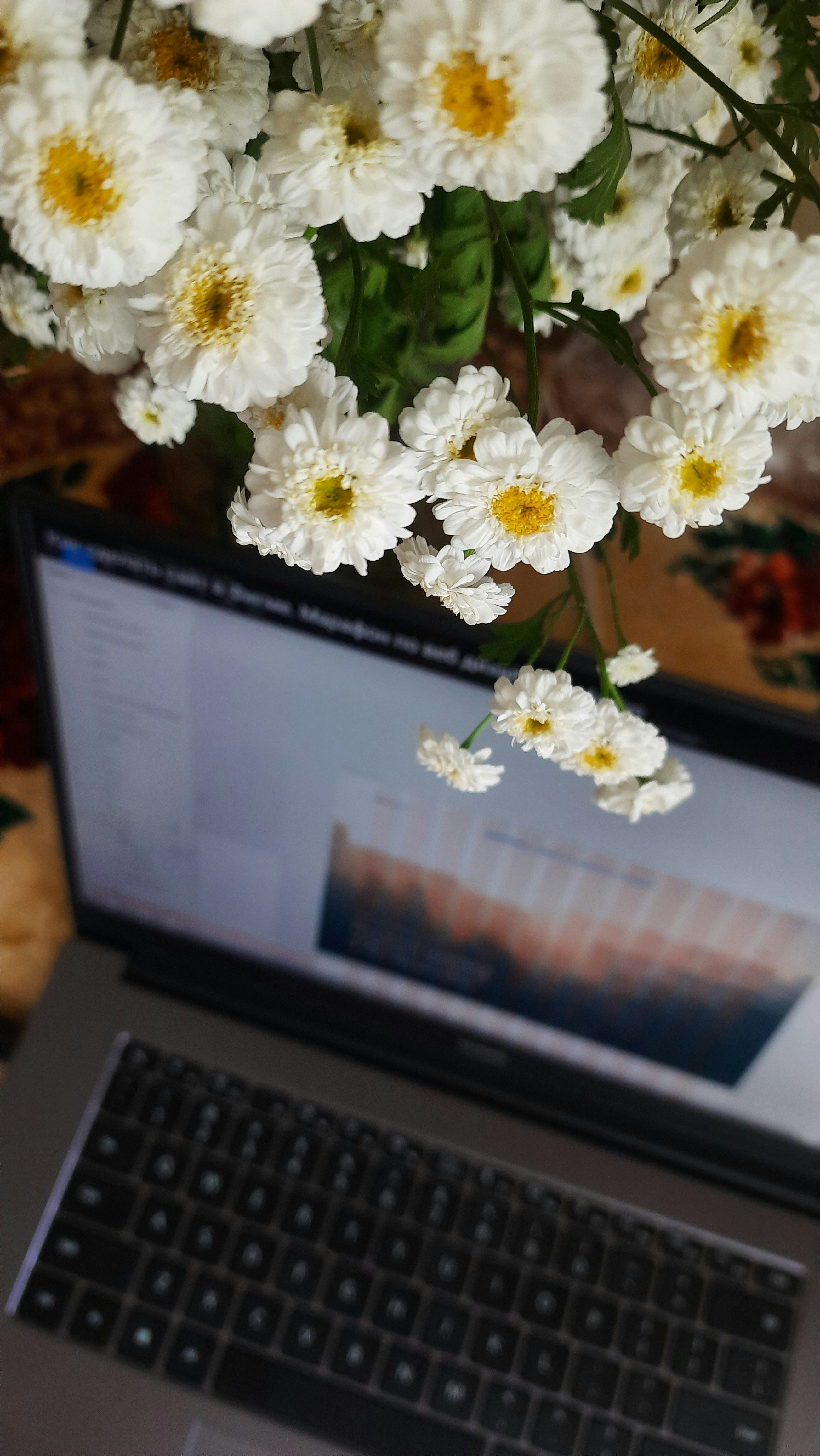 white flowers in front of black and silver laptop computer