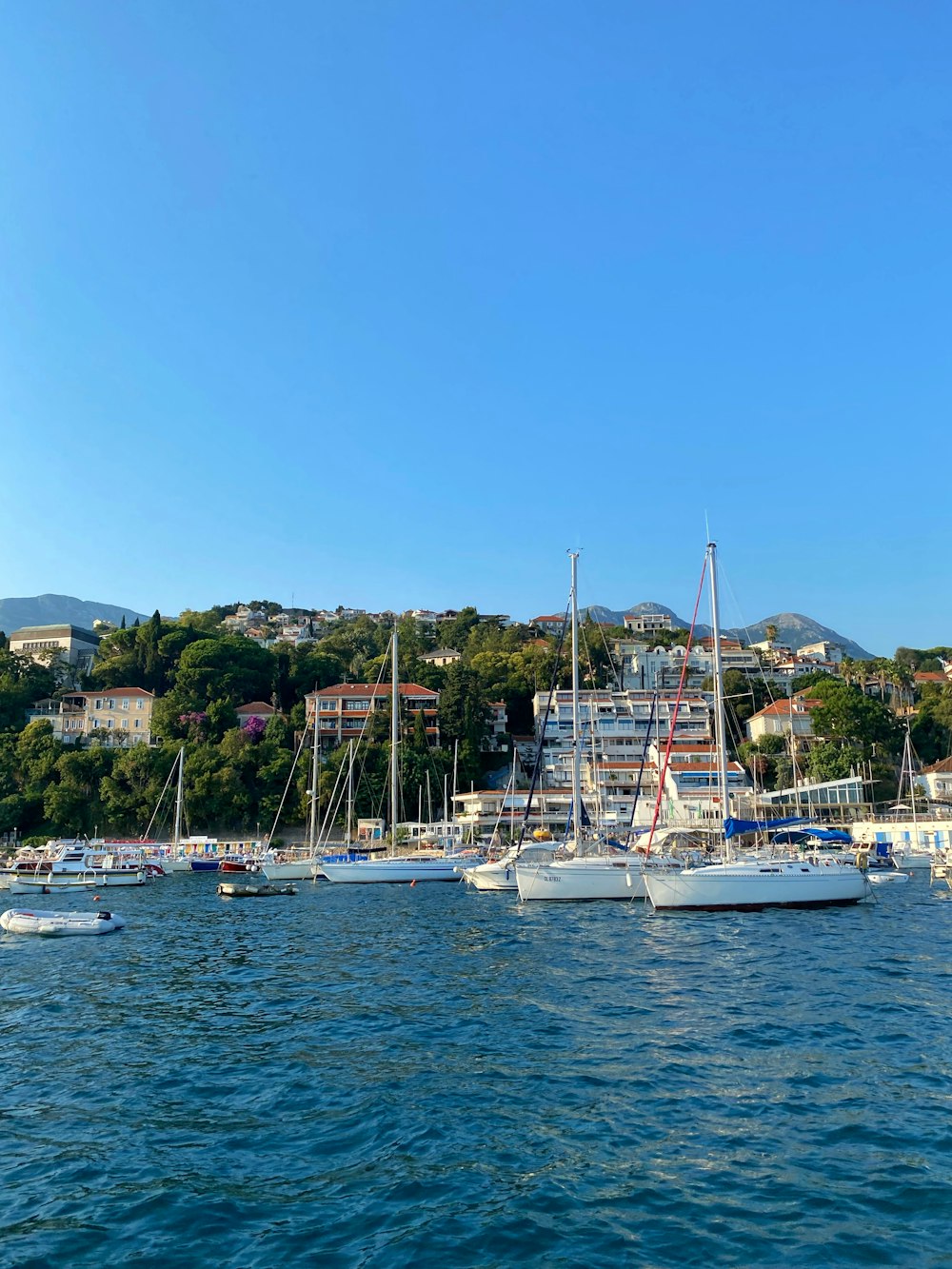 white sail boats on sea during daytime