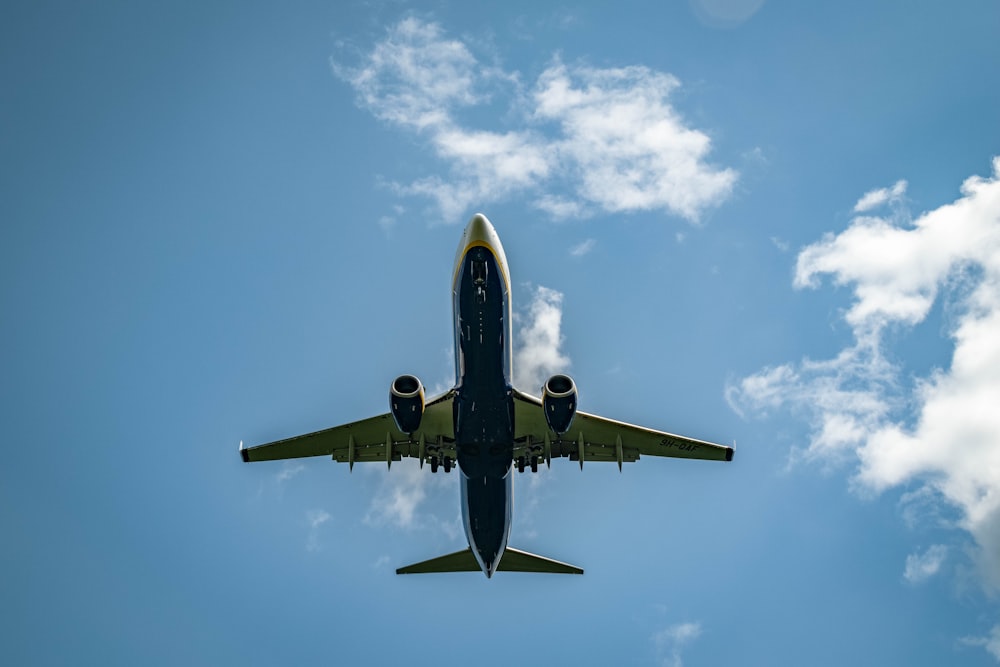 blue and white airplane under blue sky during daytime