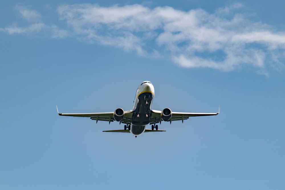 white airplane under blue sky during daytime