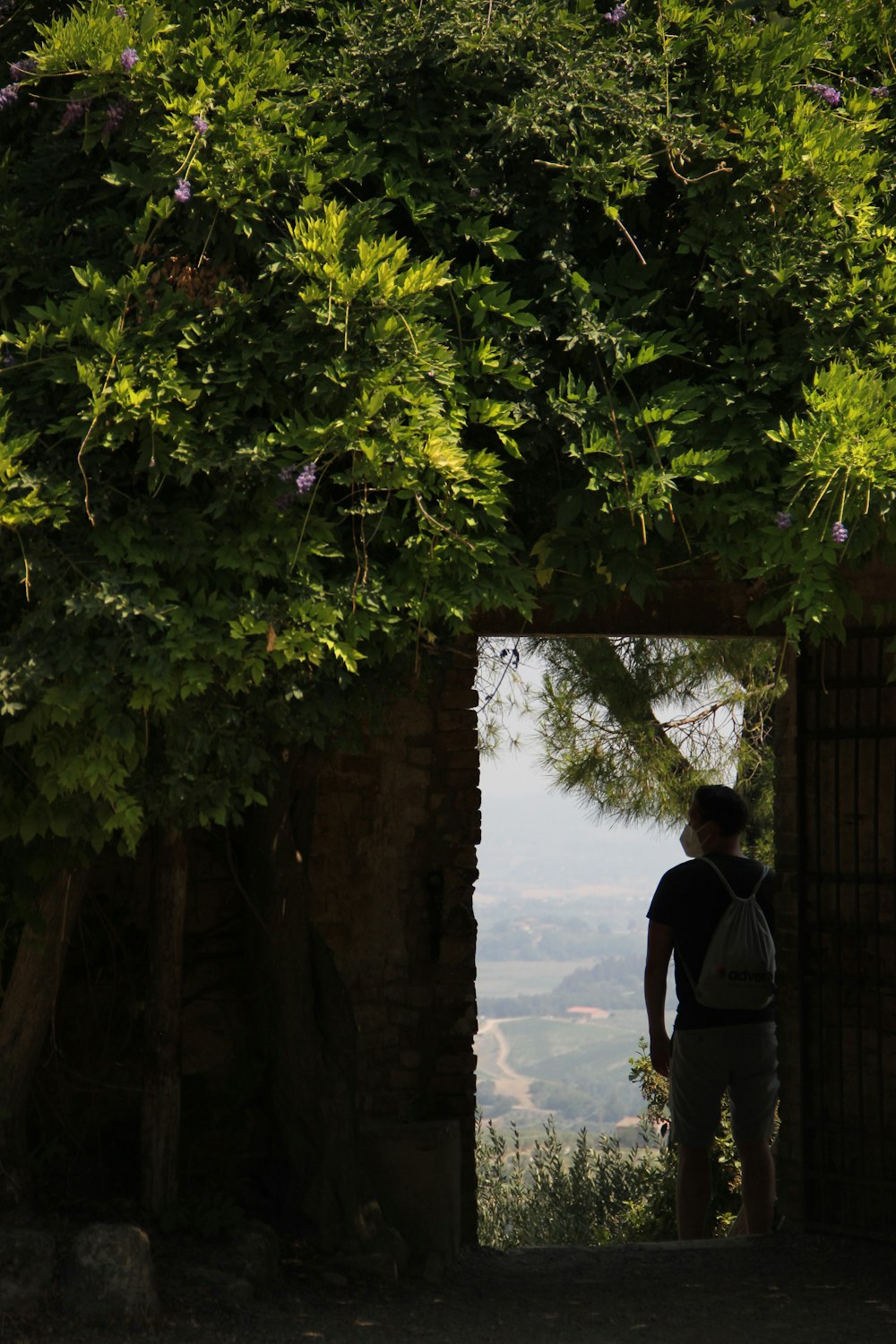 man in black t-shirt standing near green trees during daytime