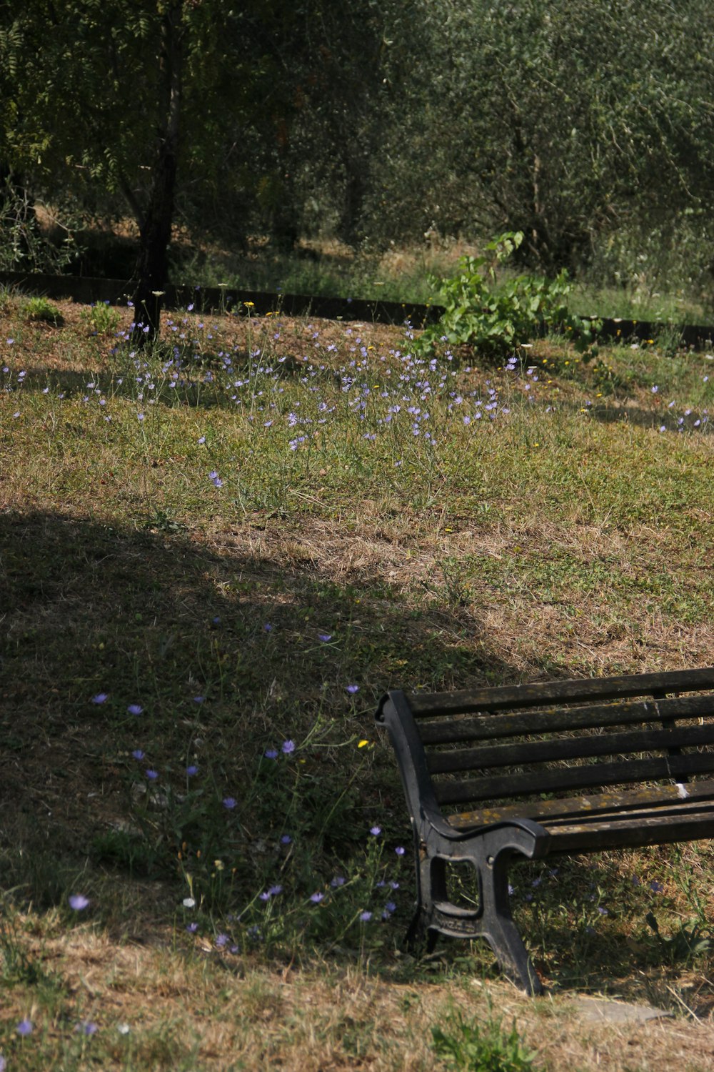 brown wooden bench on green grass field