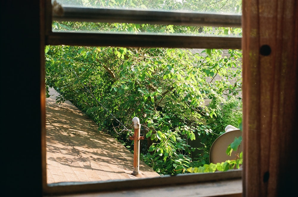 brown wooden fence near green plants during daytime