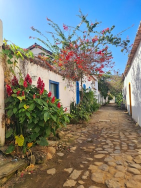 Sunlit narrow street in Lefkes lined with whitewashed houses and vibrant bougainvillea under a clear blue sky.